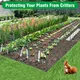 Green__Akifi Craft