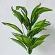 Green__JJ Homes