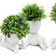 White__JJ Homes