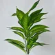 Green__JJ Homes