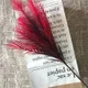 Red__JJ Homes