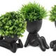 Black__JJ Homes