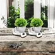 White__JJ Homes