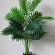 Green__JJ Homes