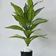 Green__JJ Homes