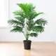 Green__JJ Homes