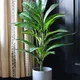 Green__JJ Homes