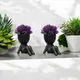 Black__JJ Homes