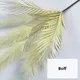 Off White__JJ Homes