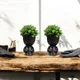 Black__JJ Homes