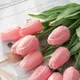 White Pink__JJ Homes