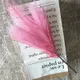 Pink__JJ Homes