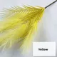 Yellow__JJ Homes