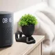 Black__JJ Homes