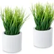 White__JJ Homes