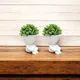 White__JJ Homes