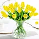 Yellow__JJ Homes