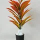 Orange__JJ Homes