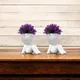 White__JJ Homes