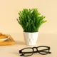 Green & White__Deco Design Gallery