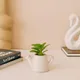 Multicolor__Deco Design Gallery