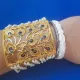 Multicolor & Gold__Purabi