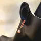 Rose Gold__Metal Carats