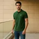 Olive Green__Sheeba drops