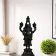 Black__The Indian Soil