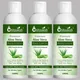 Set Of 3__Chitaaksh 