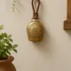 Gold__Blue Elephant