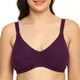 Mutlicolor__Everyday Intimates