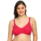 Mutlicolor__Everyday Intimates