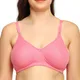 Mutlicolor__Everyday Intimates