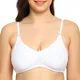 Mutlicolor__Everyday Intimates