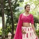 Pink__CHOLI CHARM