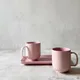 Pink__AAV ENTERPRISES