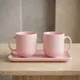 Pink__AAV ENTERPRISES