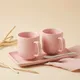 Pink__AAV ENTERPRISES