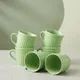Green__AAV ENTERPRISES