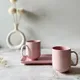 Pink__AAV ENTERPRISES
