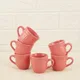 Pink__AAV ENTERPRISES