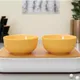 Yellow__AAV ENTERPRISES