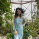Grey__Chikandiaries