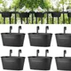 Black - Pack of 6__Ezzu Crafts