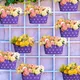 Purple Dot - Pack of 4__Ezzu Crafts