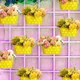 Yellow Dot - Pack of 4__Ezzu Crafts
