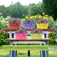 Multicolor Polka Dot - 6__Ezzu Crafts