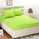Parrot Green__RSMK