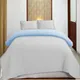 White and Light Blue__Kedara Cloth